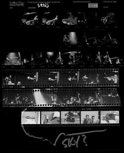 EC_TheSeeds_001: The Seeds