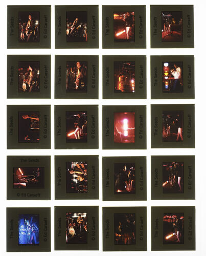 EC_TheSeeds_002: The Seeds