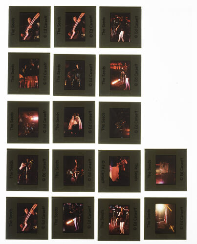 EC_TheSeeds_003: The Seeds