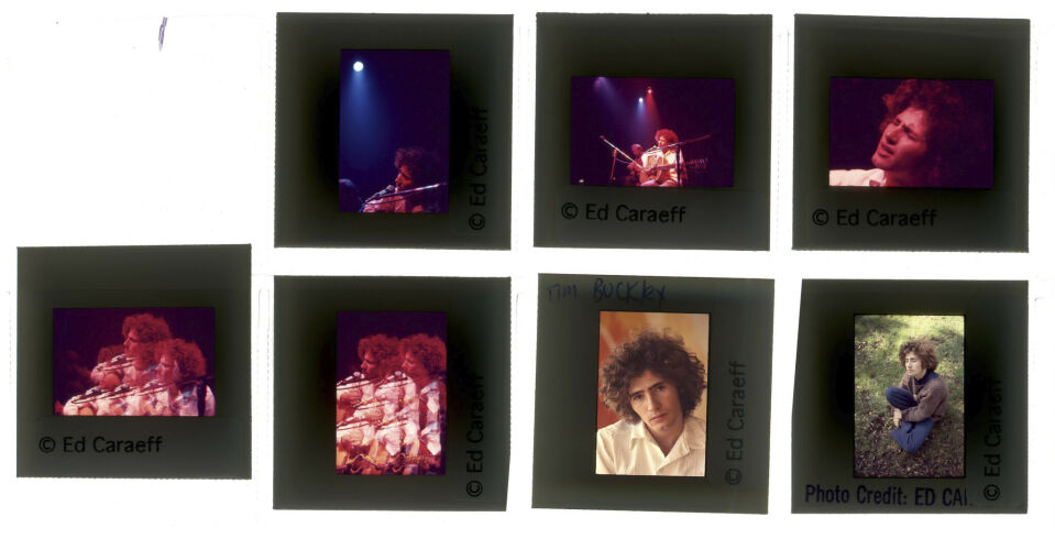 EC_TimBuckley_002: Tim Buckley