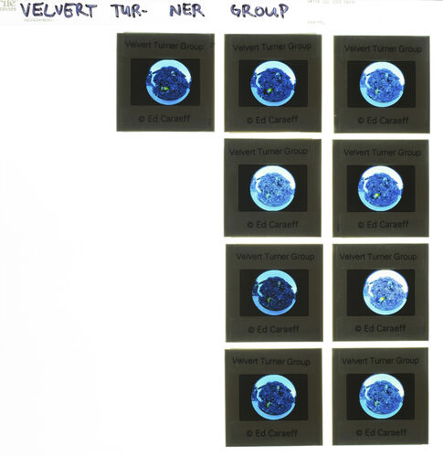 EC_VelvertTurnerGroup_001: Velvert Turner Group