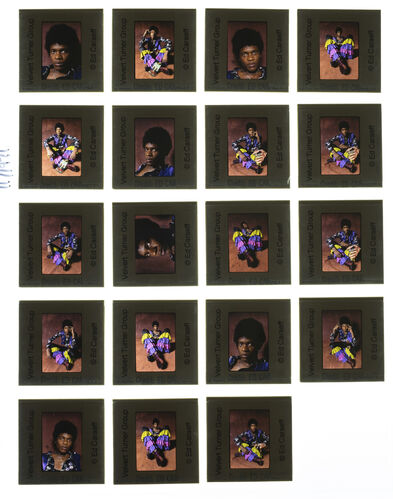 EC_VelvertTurnerGroup_003: Velvert Turner Group