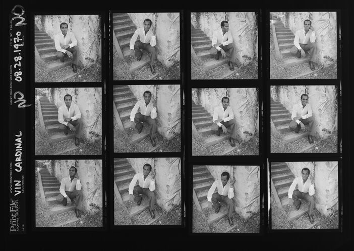 EC_VinCardinal_001: Vin Cardinal