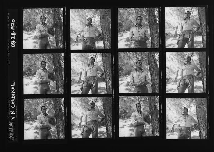 EC_VinCardinal_007: Vin Cardinal