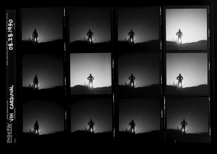 EC_VinCardinal_009: Vin Cardinal