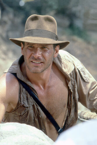 ES_INJ006: Harrison Ford