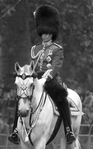 GB_PE020: HRH Prince William