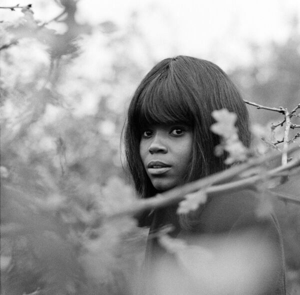 pp-arnold-photograph-gm-ppa003-iconic-licensing