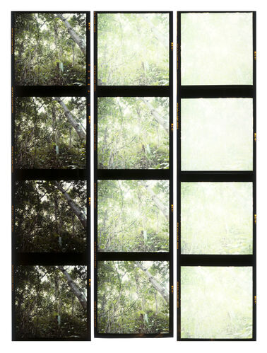 GM_Thieves_039: Thieves