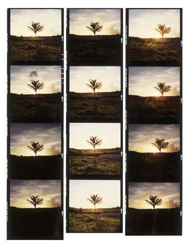 GM_Thieves_044: Thieves