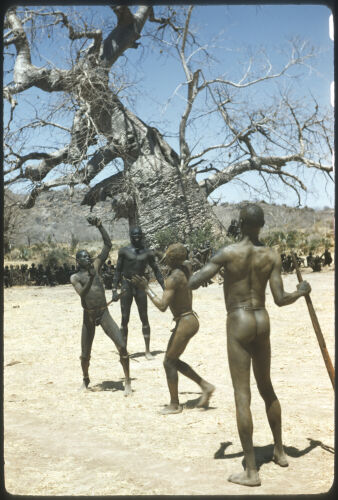 GR_KC072: The Nuba