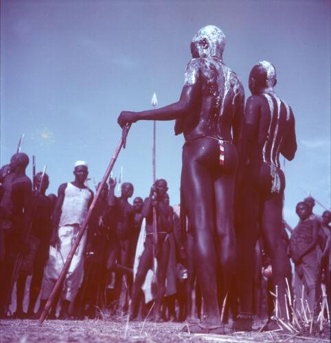 GR_KC103: The Nuba