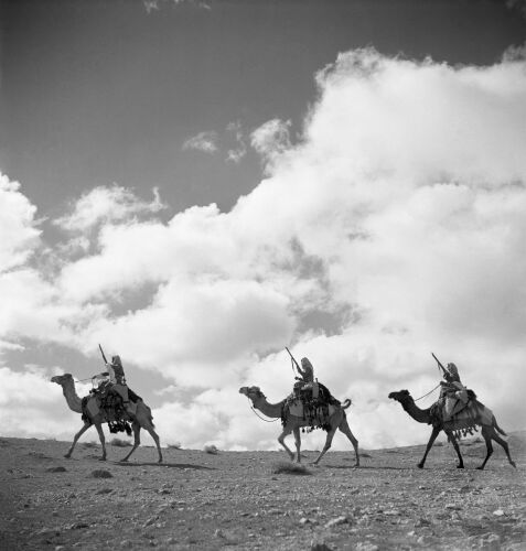 GR_ME034: Arab Legion Camel Corps