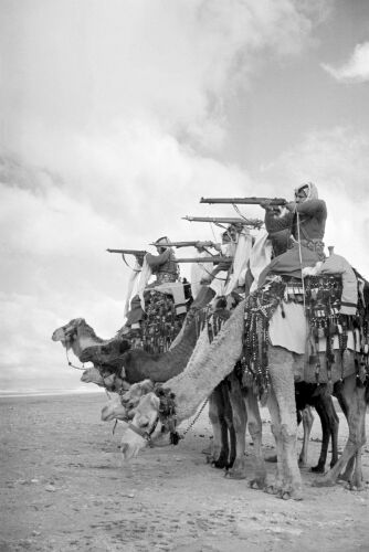 GR_ME046: Camel Corps