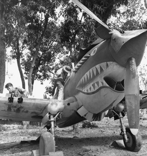 GR_WC089: The 'Flying Tigers'