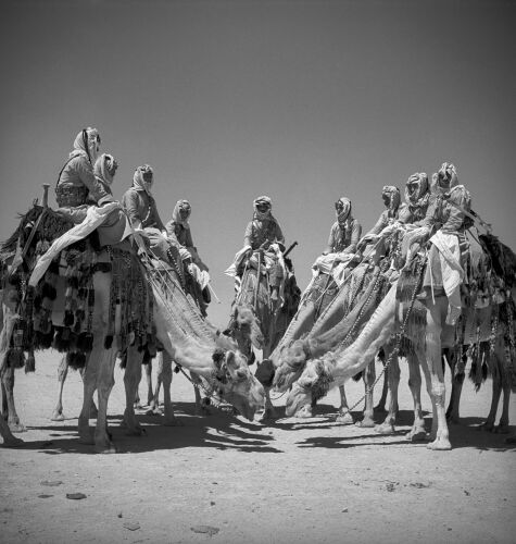 GR_WC126: Arab Legion Desert Patrol