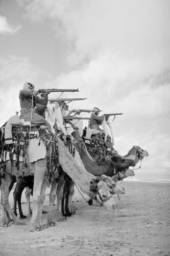 GR_WC128: Camel Corps