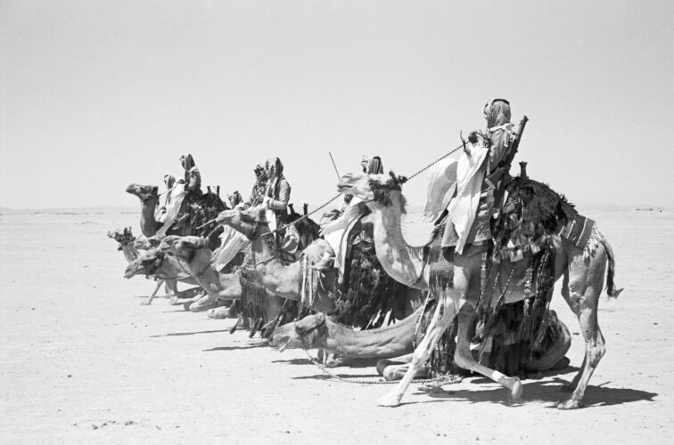 GR_WC131: Arab Legion Desert Patrol