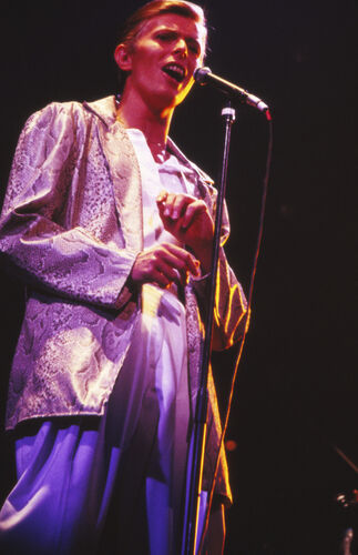 JM_DB019: David Bowie