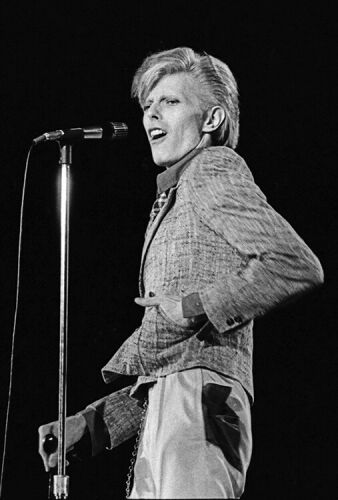 JM_DB024: David Bowie