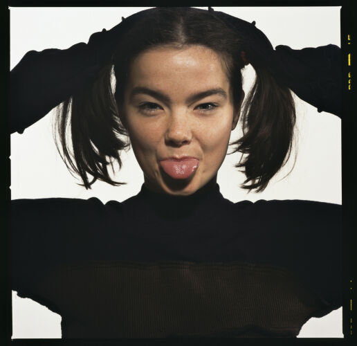 KC_BJ002: Björk