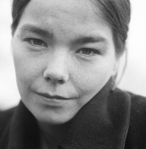 KC_BJ005: Björk