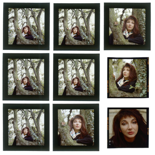 KC_KateBush_005: Kate Bush