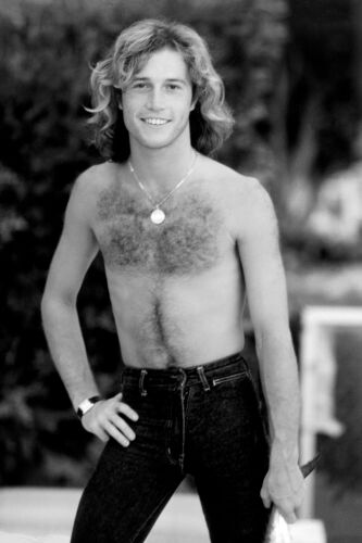 MB_MU_AG002: Andy Gibb