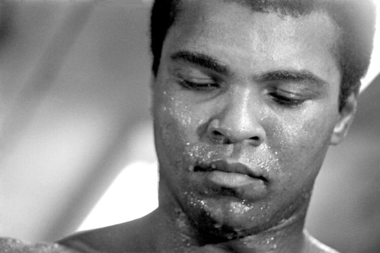 MB_SP_MA050: Muhammad Ali