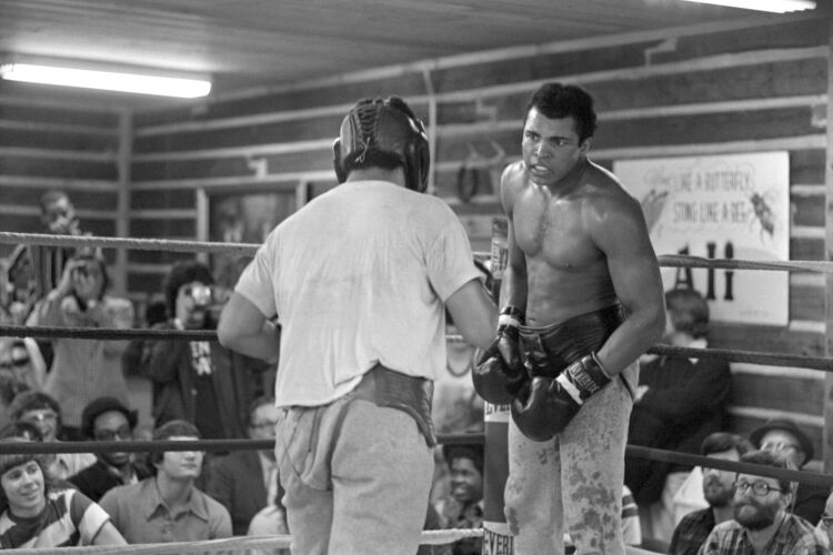 MB_SP_MA073: Muhammad Ali