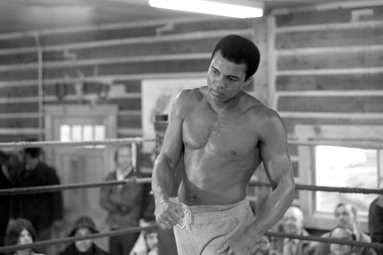 MB_SP_MA077: Muhammad Ali