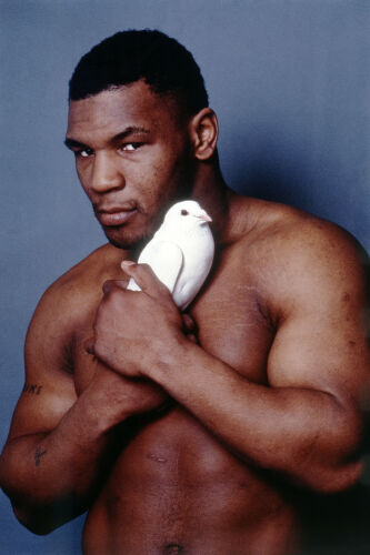 MB_SP_MT001: Mike Tyson