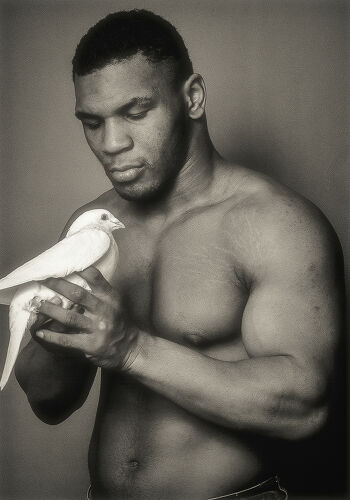 MB_SP_MT059: Mike Tyson