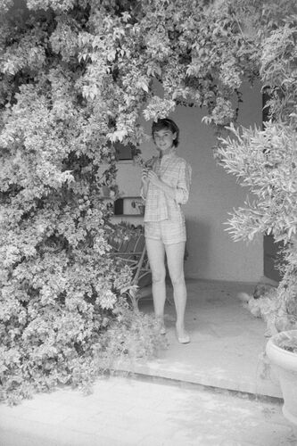 MG_AH026: Audrey Hepburn