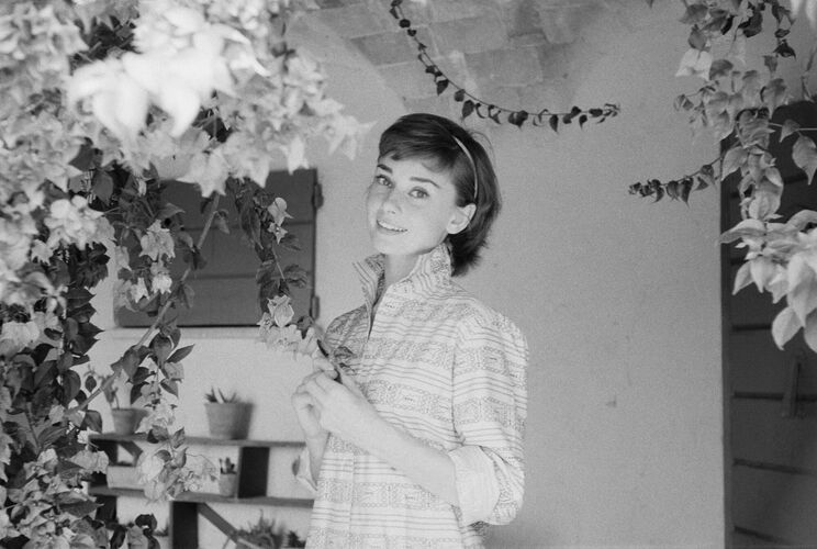 MG_AH027: Audrey Hepburn