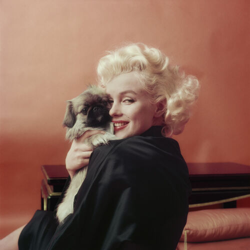 MG_MM004: Marilyn Monroe