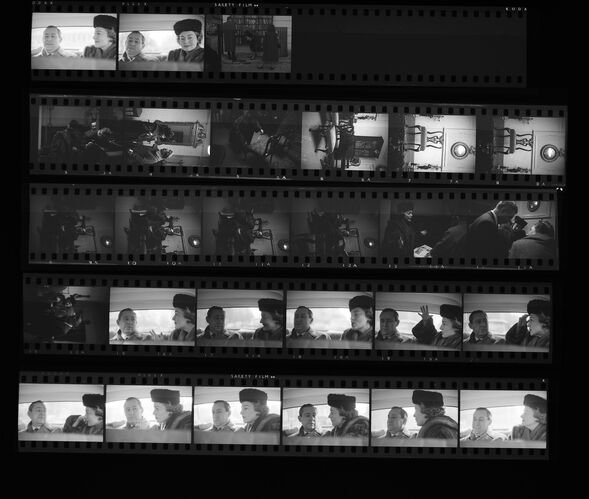 MW_D0008: Olivia De Havilland