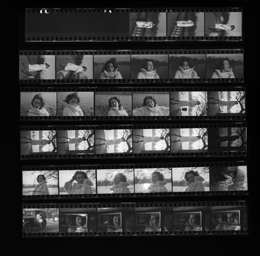 MW_D0011_A: Shirley Anne Field