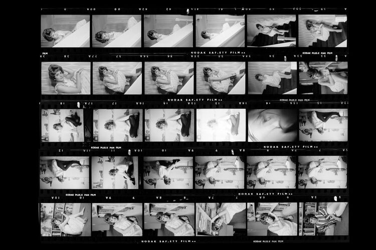 MW_K0079_5_F: Diane Aubrey