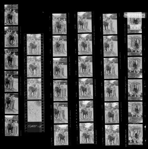 NP01A4_072: The Kents