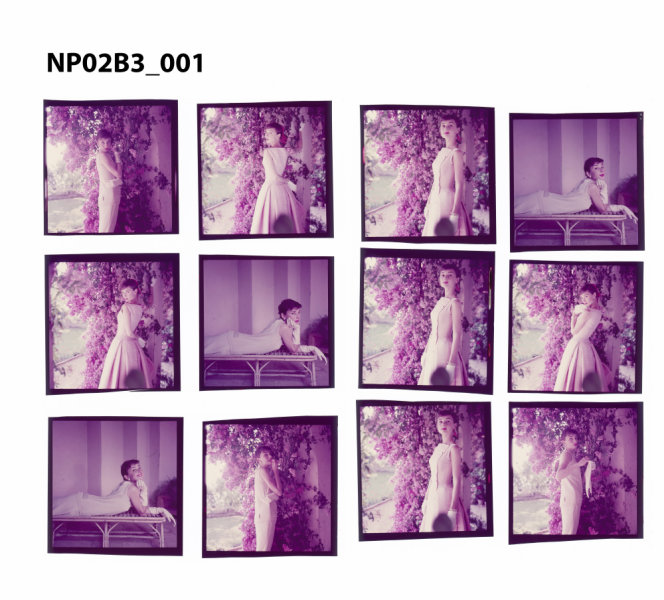 NP02B3_001: Audrey Hepburn