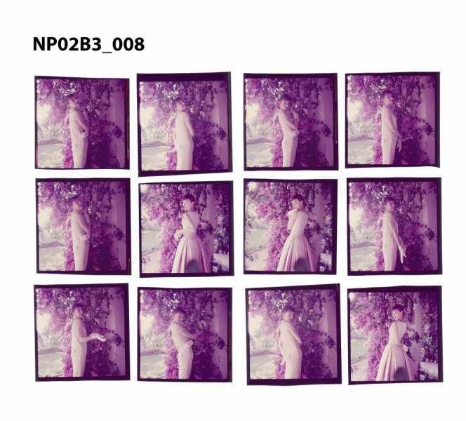 NP02B3_008: Audrey Hepburn