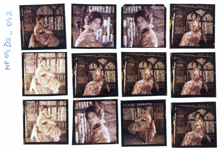 NP04D2_042: Princess Anne