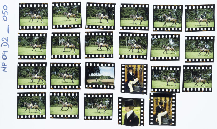NP04D2_050: Princess Anne