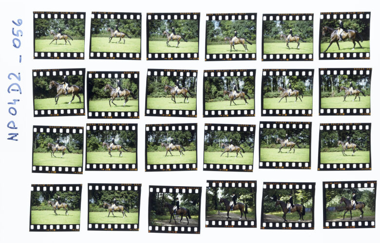 NP04D2_056: Princess Anne