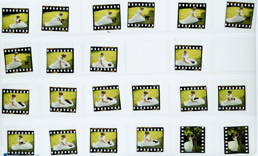 NP04D2_144: Prince and Princess Michael of Kent