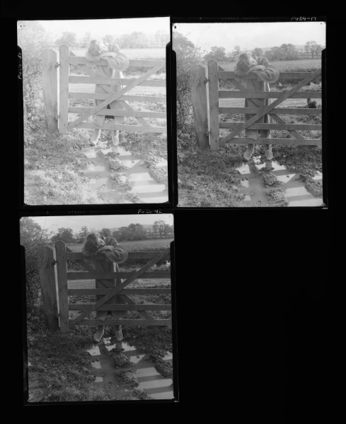 NP05E2_1951_012A: Wenda leaning on Gate