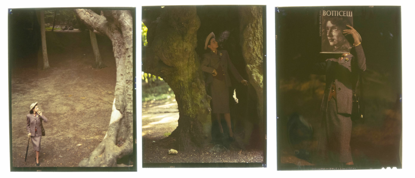 NP09F2_1946_008C: Tweed in the Woods