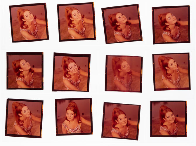 NP14C_019: Masi Eisler