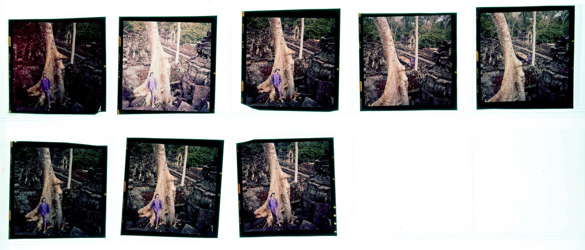 NP14D_008: Katherine Pastrie